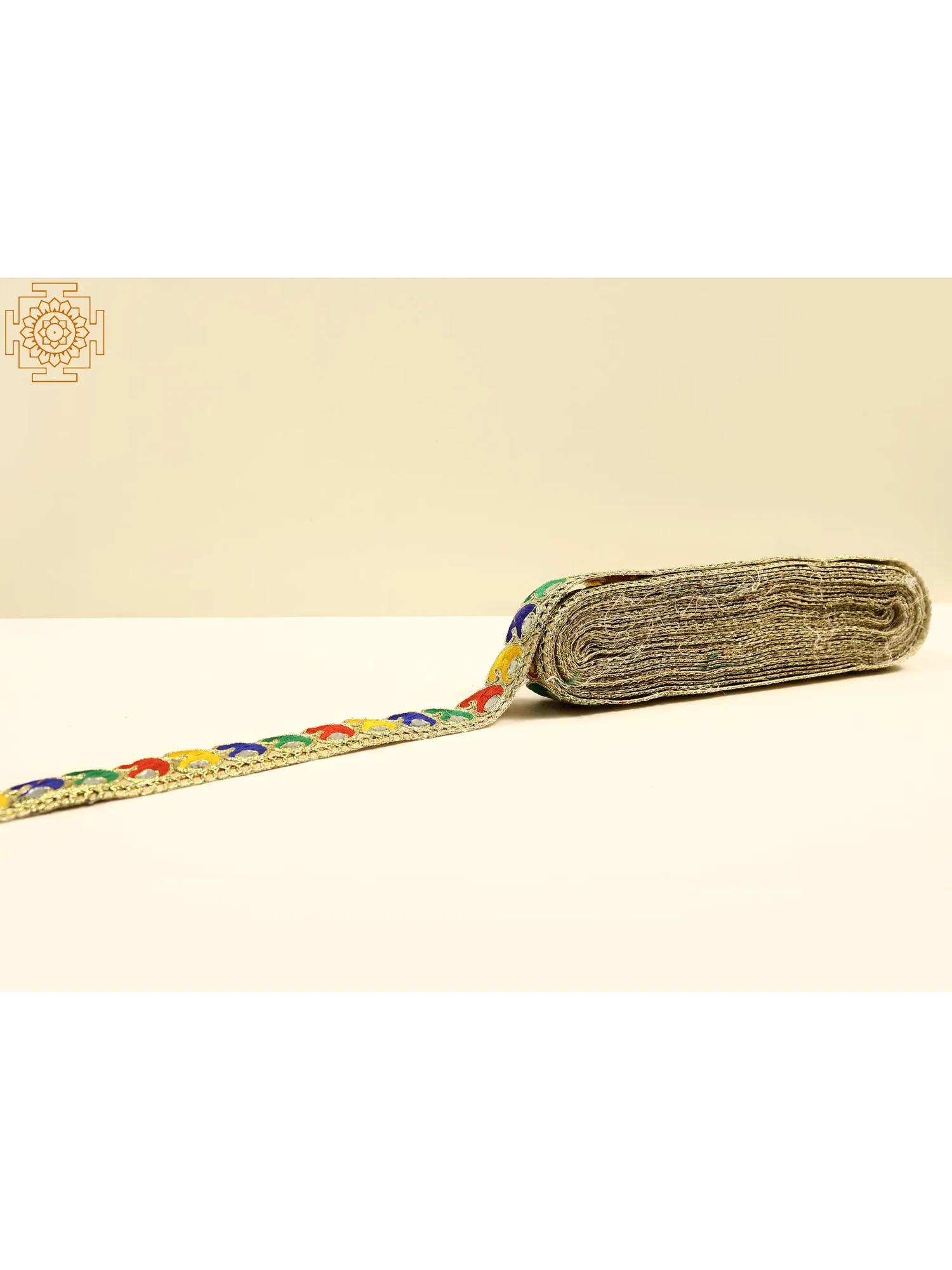 Multicolor Thread Embroidered Paisley Border with Mirror Work