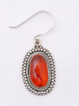 Oval Baltic Amber Sterling Silver Hook Earrings