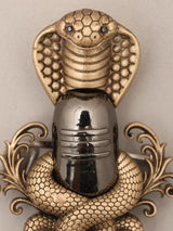 Antique Finish Naga Shiva Lingam Rudraksha Brass Brooch