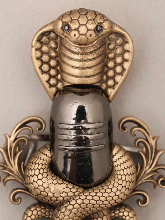 Antique Finish Naga Shiva Lingam Rudraksha Brass Brooch