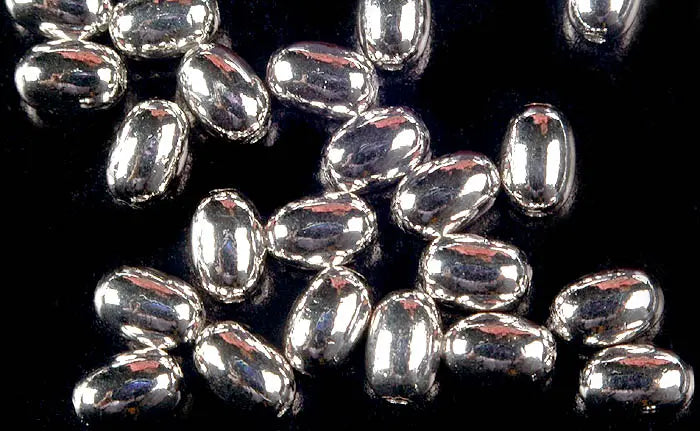 Sterling Silver Bean Charm Necklace